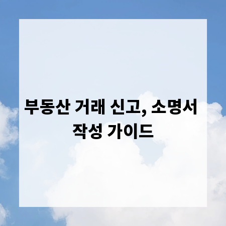 부동산 거래 신고, 소명서 작성 가이드
