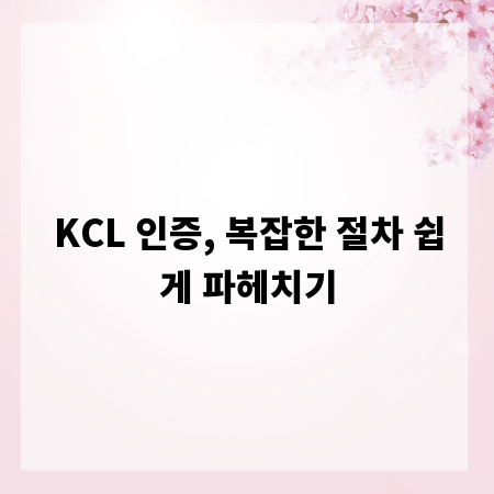 KCL 인증, 복잡한 절차 쉽게 파헤치기