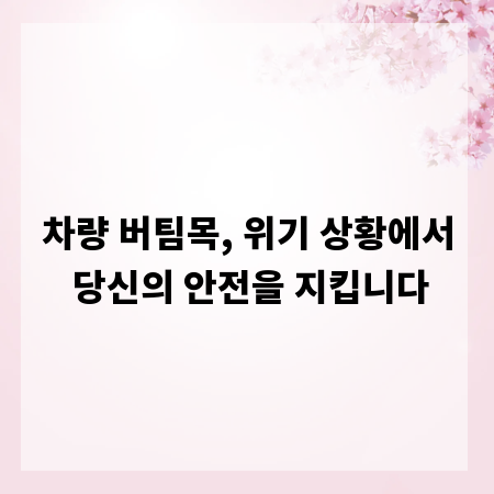 차량 버팀목, 위기 상황에서 당신의 안전을 지킵니다
