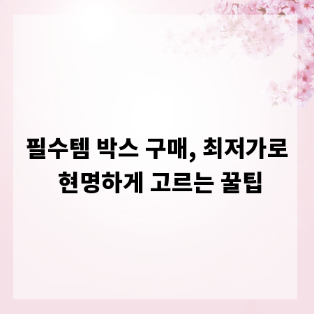 필수템 박스 구매, 최저가로 현명하게 고르는 꿀팁