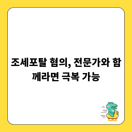 조세포탈 혐의, 전문가와 함께라면 극복 가능