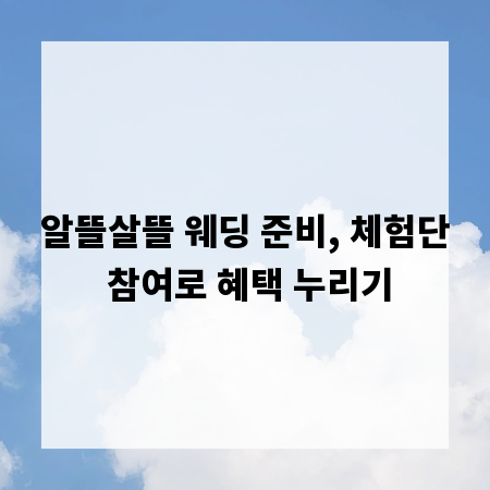알뜰살뜰 웨딩 준비, 체험단 참여로 혜택 누리기