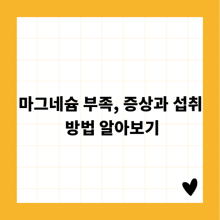 마그네슘 부족, 증상과 섭취 방법 알아보기