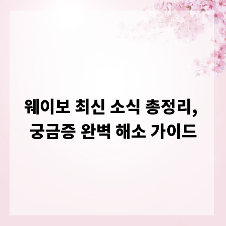 웨이보 최신 소식 총정리, 궁금증 완벽 해소 가이드