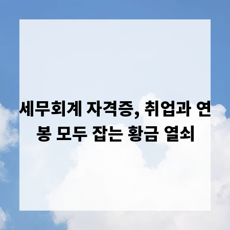 세무회계 자격증, 취업과 연봉 모두 잡는 황금 열쇠