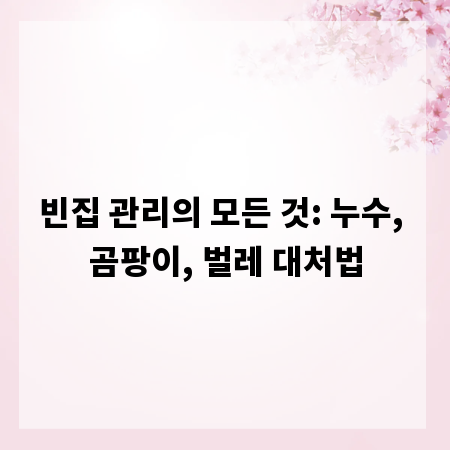 빈집 관리의 모든 것: 누수, 곰팡이, 벌레 대처법