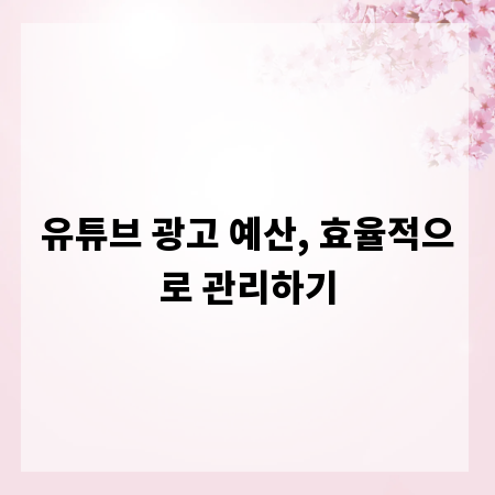 유튜브 광고 예산, 효율적으로 관리하기