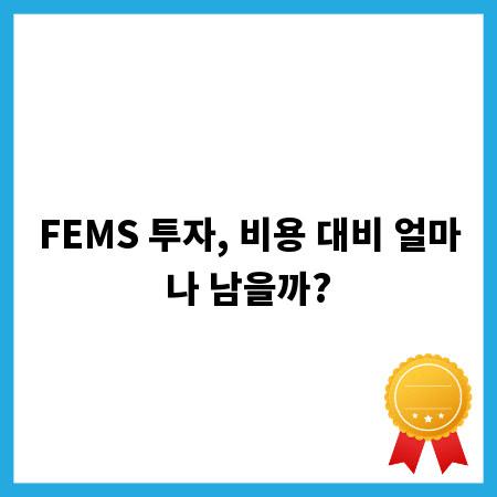FEMS 투자, 비용 대비 얼마나 남을까?