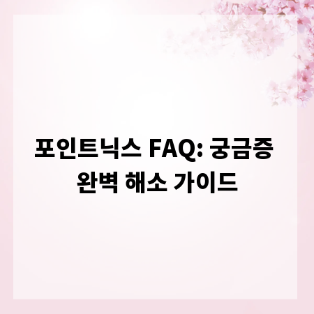 포인트닉스 FAQ: 궁금증 완벽 해소 가이드