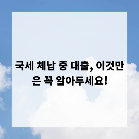 국세 체납 중 대출, 이것만은 꼭 알아두세요!