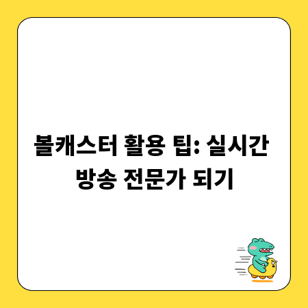 볼캐스터 활용 팁: 실시간 방송 전문가 되기