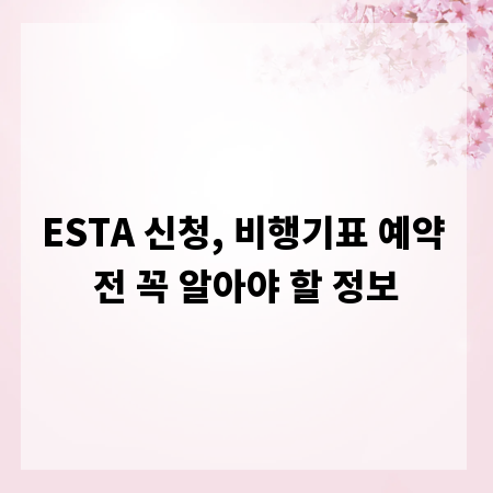 ESTA 신청, 비행기표 예약 전 꼭 알아야 할 정보