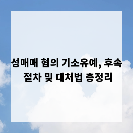 성매매 혐의 기소유예, 후속 절차 및 대처법 총정리