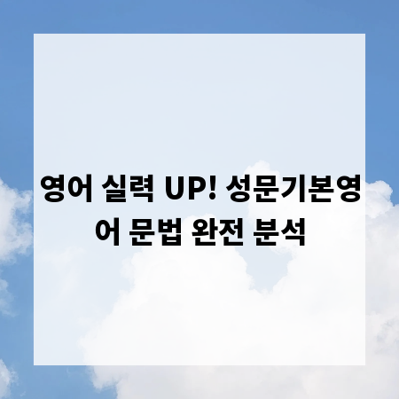 영어 실력 UP! 성문기본영어 문법 완전 분석