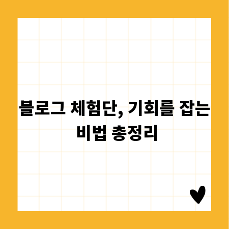 블로그 체험단, 기회를 잡는 비법 총정리