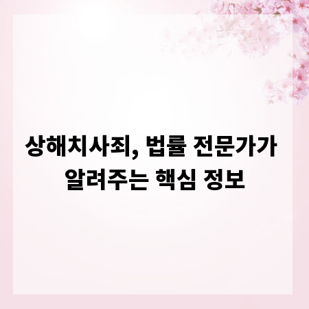 상해치사죄, 법률 전문가가 알려주는 핵심 정보