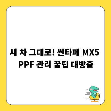 새 차 그대로! 싼타페 MX5 PPF 관리 꿀팁 대방출