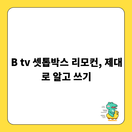 B tv 셋톱박스 리모컨, 제대로 알고 쓰기
