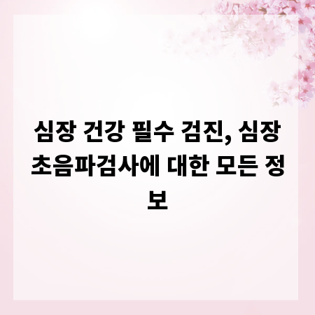 심장 건강 필수 검진, 심장초음파검사에 대한 모든 정보