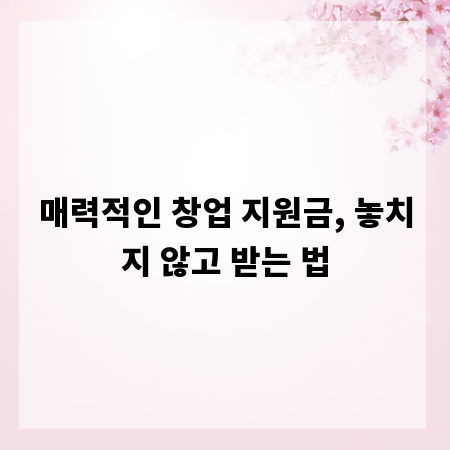 매력적인 창업 지원금, 놓치지 않고 받는 법