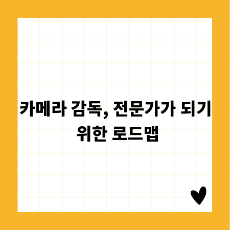 카메라 감독, 전문가가 되기 위한 로드맵