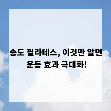 송도 필라테스, 이것만 알면 운동 효과 극대화!