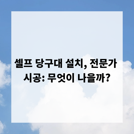 셀프 당구대 설치, 전문가 시공: 무엇이 나을까?