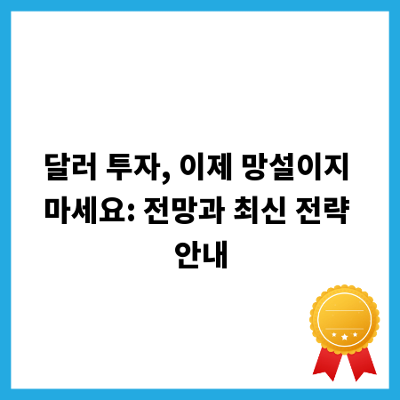 달러 투자, 이제 망설이지 마세요: 전망과 최신 전략 안내