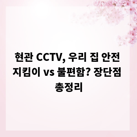 현관 CCTV, 우리 집 안전 지킴이 vs 불편함? 장단점 총정리