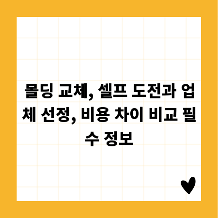 몰딩 교체, 셀프 도전과 업체 선정, 비용 차이 비교 필수 정보