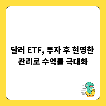 달러 ETF, 투자 후 현명한 관리로 수익률 극대화