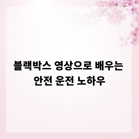 블랙박스 영상으로 배우는 안전 운전 노하우