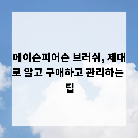 메이슨피어슨 브러쉬, 제대로 알고 구매하고 관리하는 팁