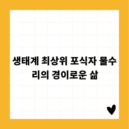 생태계 최상위 포식자 물수리의 경이로운 삶