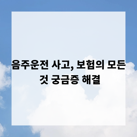 음주운전 사고, 보험의 모든 것 궁금증 해결