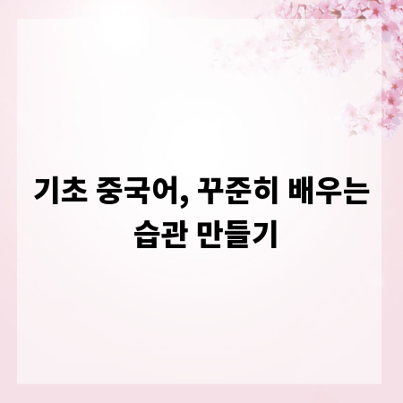 기초 중국어, 꾸준히 배우는 습관 만들기