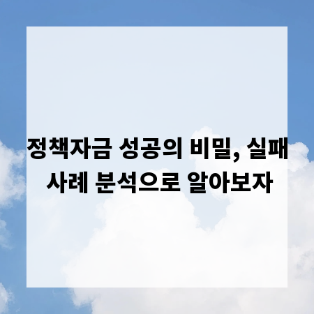 정책자금 성공의 비밀, 실패 사례 분석으로 알아보자