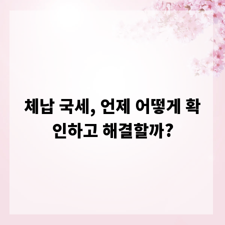 체납 국세, 언제 어떻게 확인하고 해결할까?