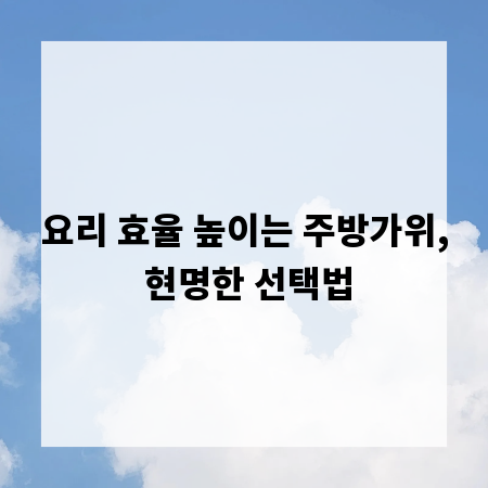 요리 효율 높이는 주방가위, 현명한 선택법