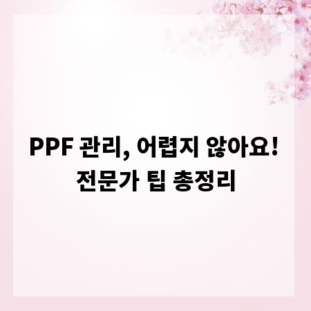 PPF 관리, 어렵지 않아요! 전문가 팁 총정리