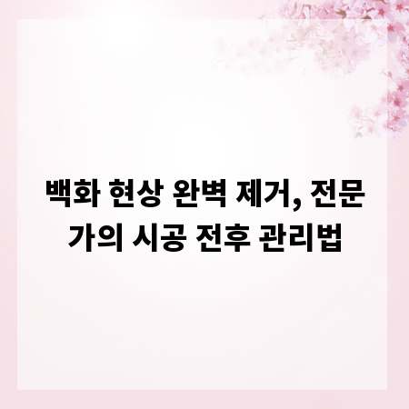 백화 현상 완벽 제거, 전문가의 시공 전후 관리법