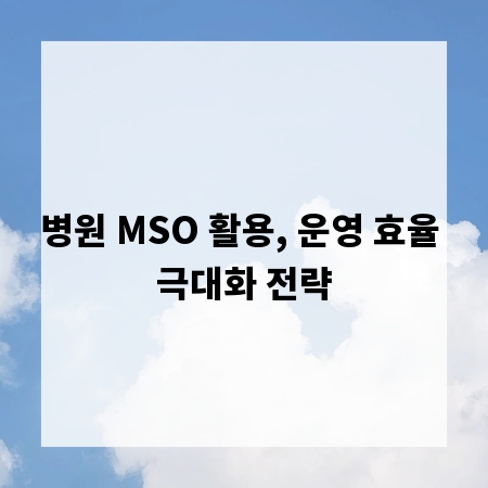병원 MSO 활용, 운영 효율 극대화 전략