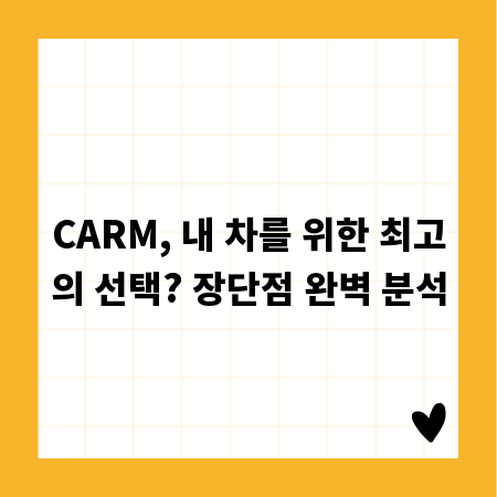 CARM, 내 차를 위한 최고의 선택? 장단점 완벽 분석