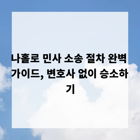 나홀로 민사 소송 절차 완벽 가이드, 변호사 없이 승소하기