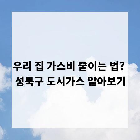 우리 집 가스비 줄이는 법? 성북구 도시가스 알아보기