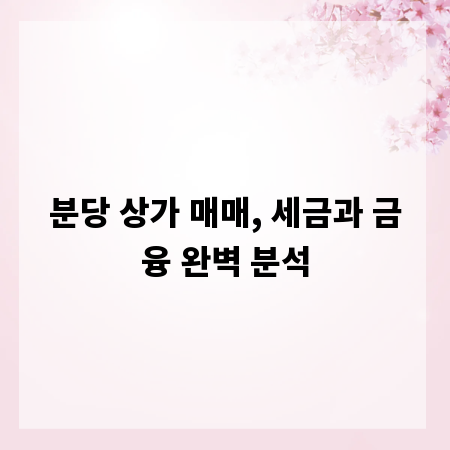 분당 상가 매매, 세금과 금융 완벽 분석