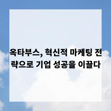 옥타부스, 혁신적 마케팅 전략으로 기업 성공을 이끌다