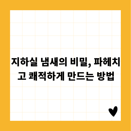 지하실 냄새의 비밀, 파헤치고 쾌적하게 만드는 방법