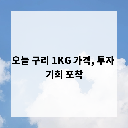 오늘 구리 1KG 가격, 투자 기회 포착