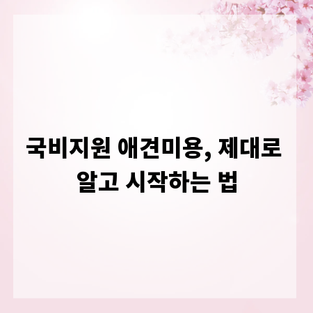 국비지원 애견미용, 제대로 알고 시작하는 법